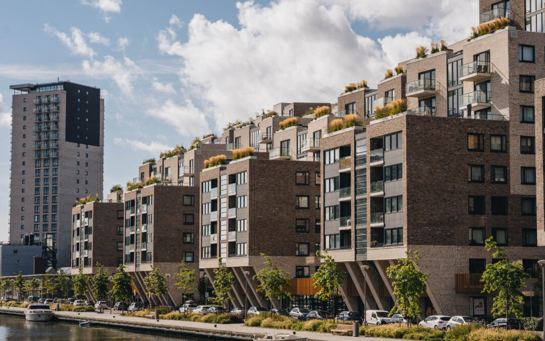 Project: Caland Dock