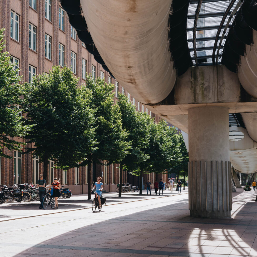 Herinrichting Beatrixlaan