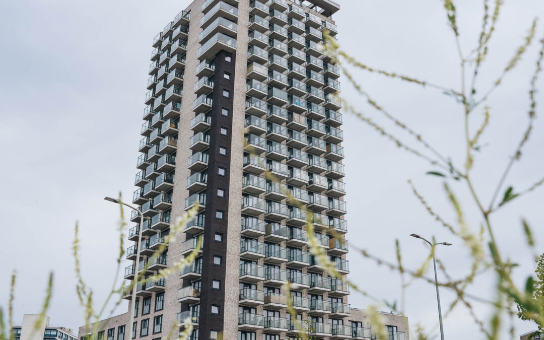 Project: Waldo Tower